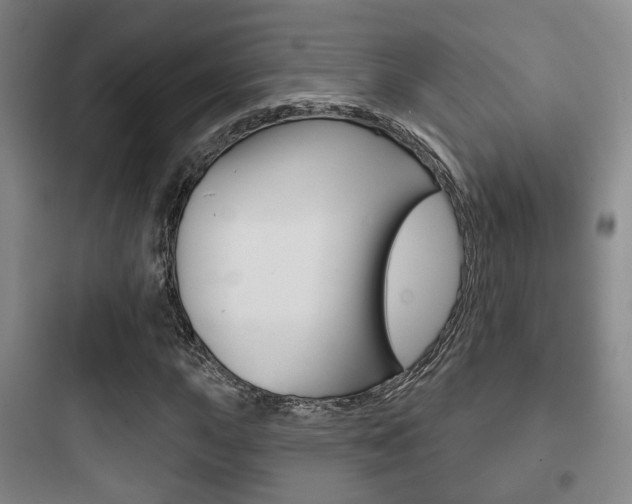 X0000097951015200803241014