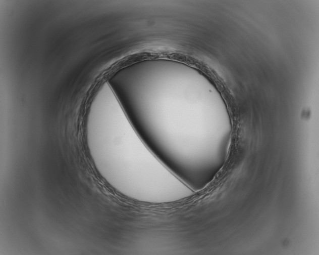 X0000097951016200803241014
