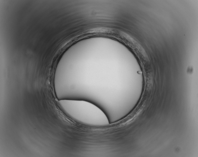 X0000097951017200803241014
