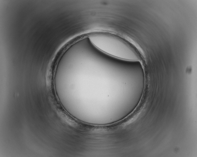 X0000097951021200803241014