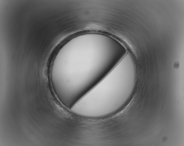 X0000097951022200803241014