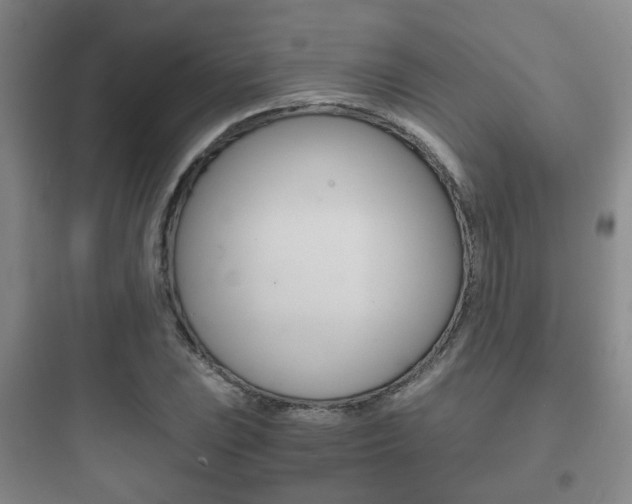 X0000097951023200803241014