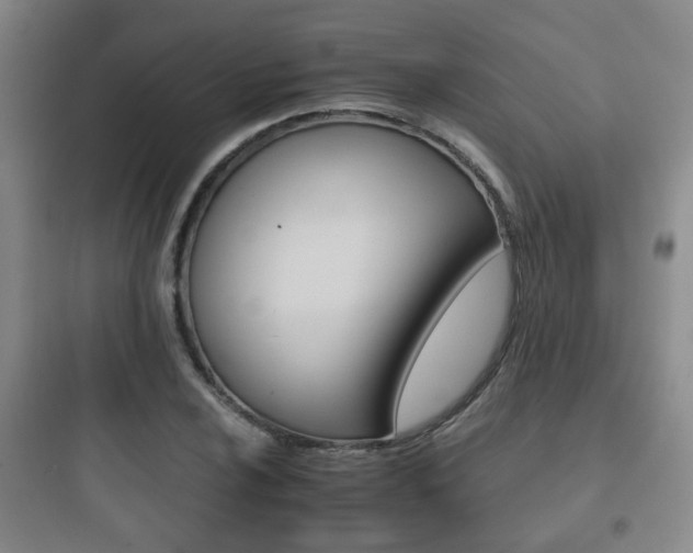 X0000097951024200803241014