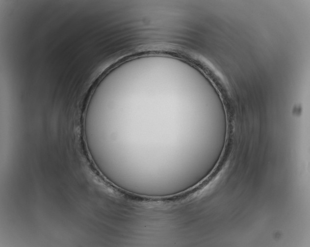 X0000097951025200803241014