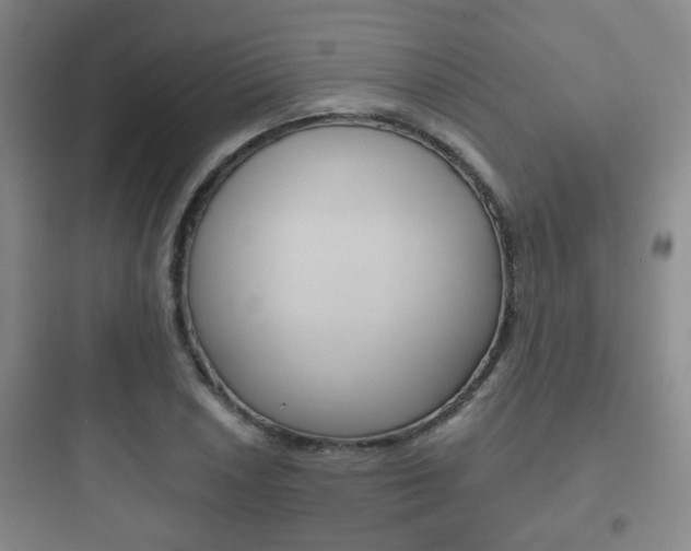 X0000097951026200803241014