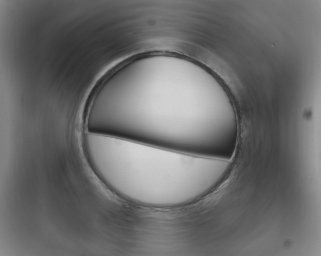 X0000097951028200803241014