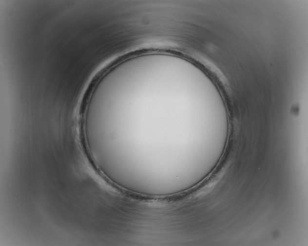 X0000097951029200803241014