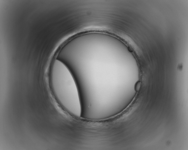 X0000097951030200803241014