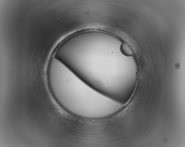 X0000097951032200803241014