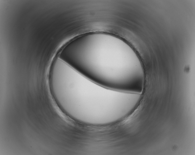 X0000097951034200803241014