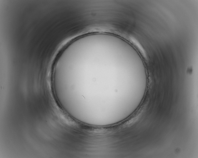 X0000097951035200803241014