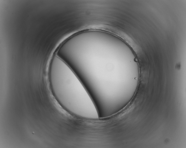 X0000097951036200803241014