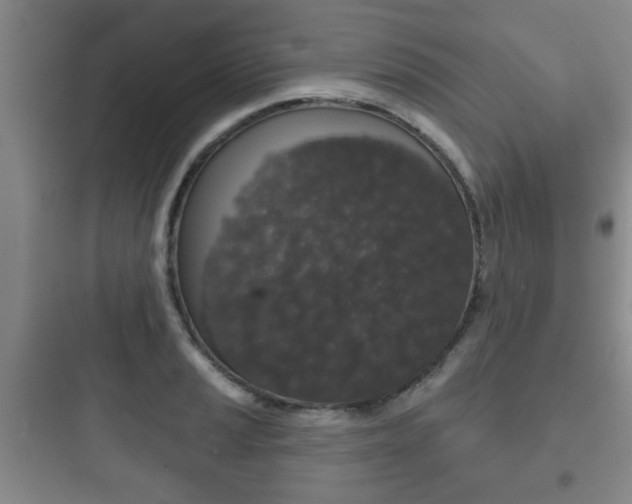 X0000097951037200803241014