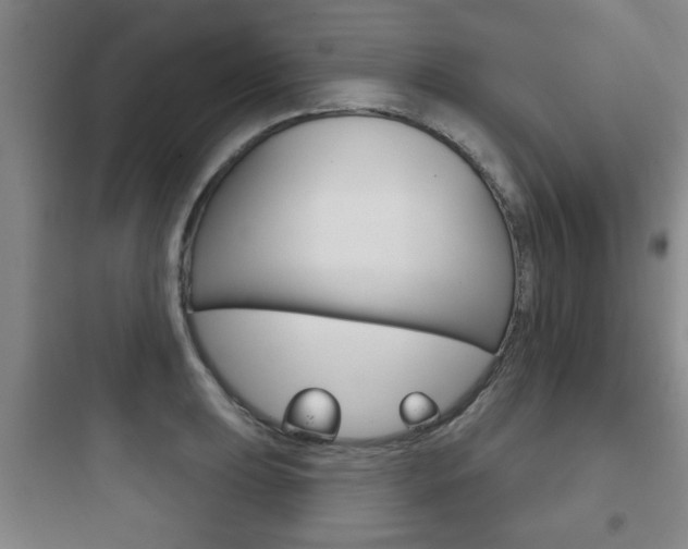 X0000097951039200803241014