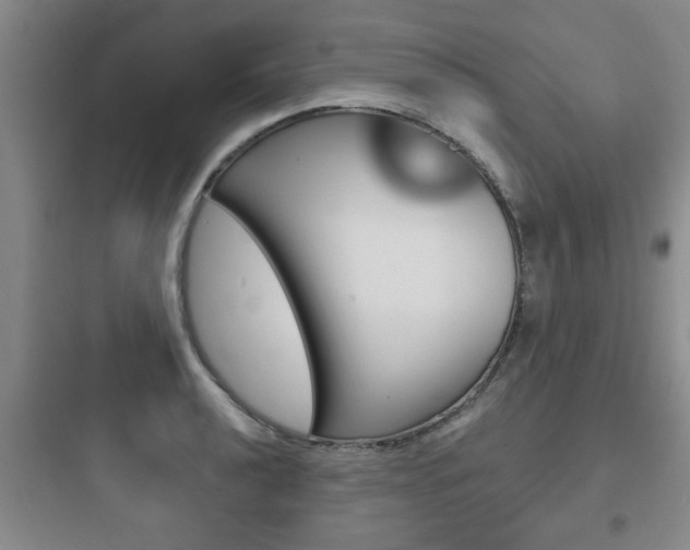 X0000097951040200803241014
