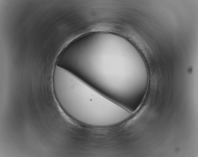 X0000097951041200803241014