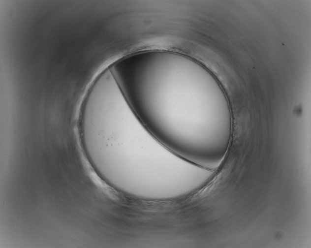 X0000097951042200803241014
