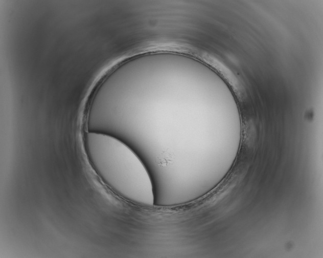 X0000097951043200803241014
