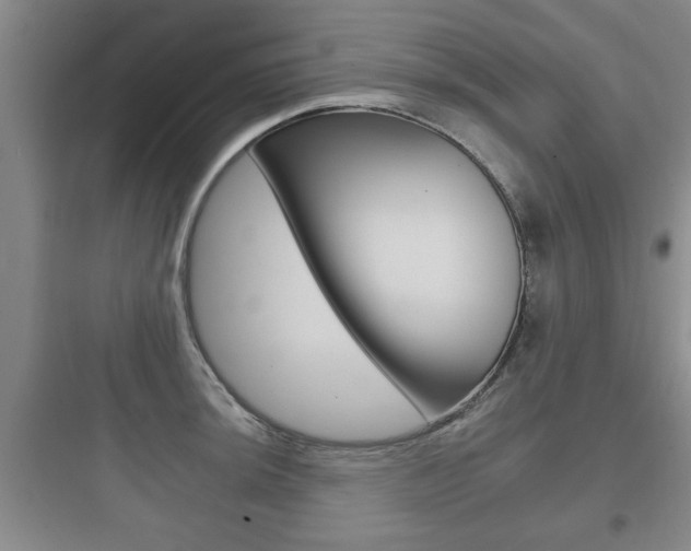 X0000097951044200803241014