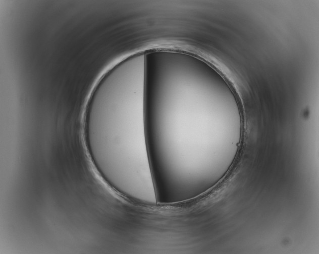 X0000097951045200803241014