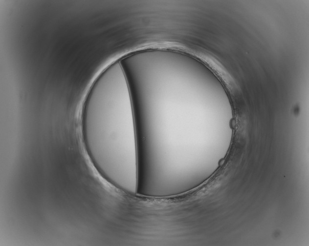 X0000097951046200803241014