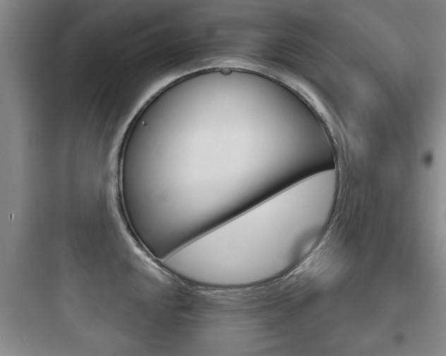 X0000097951048200803241014
