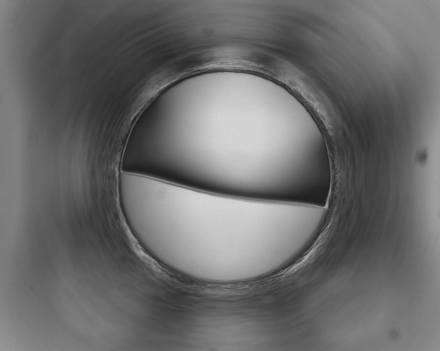 X0000097951049200803241014