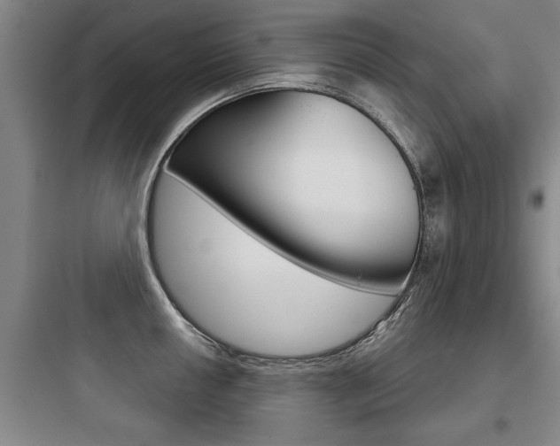 X0000097951050200803241014