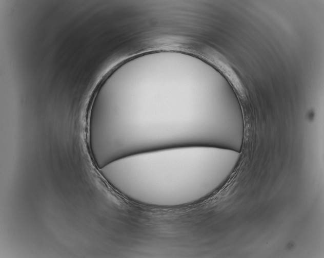 X0000097951051200803241014