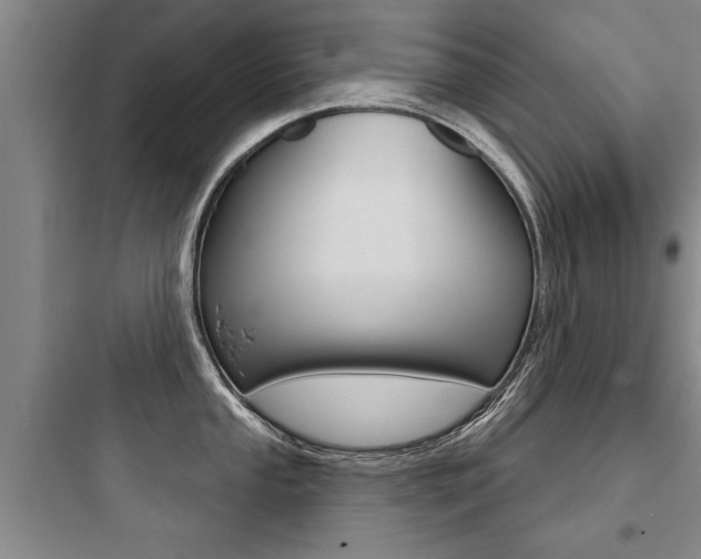 X0000097951053200803241014