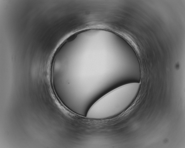 X0000097951054200803241014
