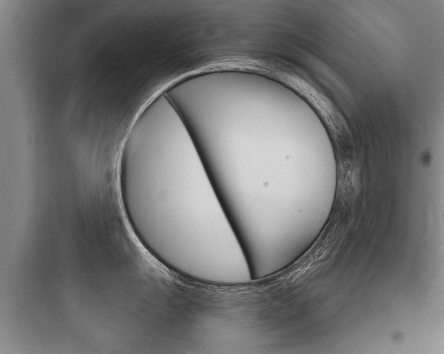 X0000097951055200803241014