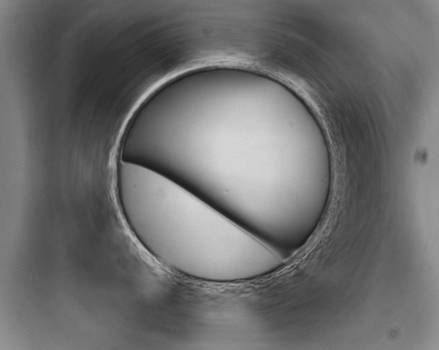 X0000097951056200803241014