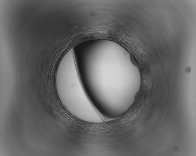 X0000097951057200803241014