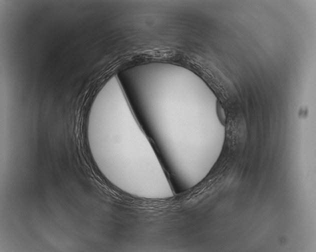 X0000097951058200803241014