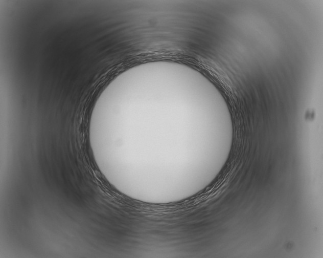 X0000097951060200803241014