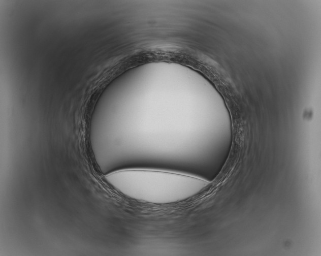 X0000097951061200803241014