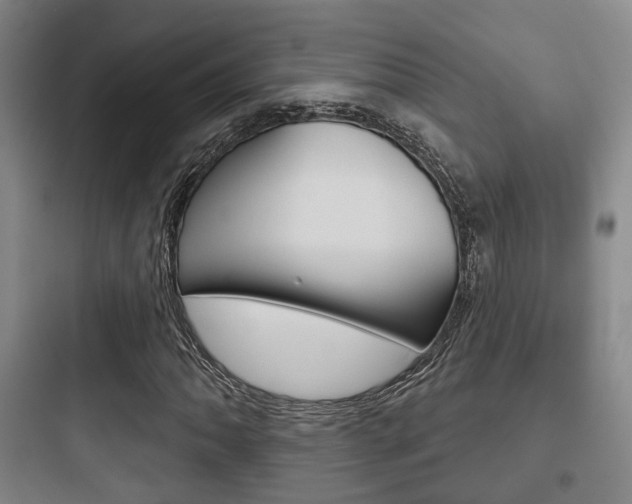 X0000097951062200803241014