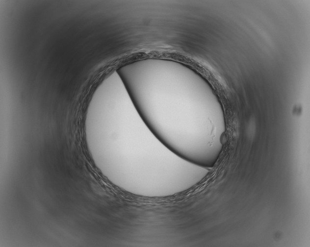 X0000097951063200803241014