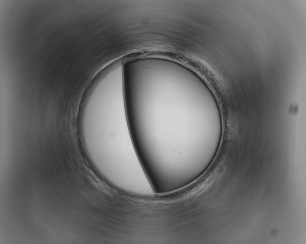 X0000097951065200803241014