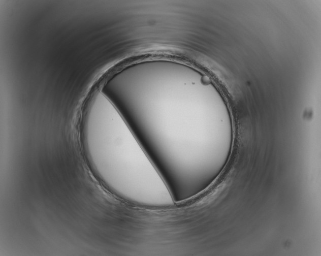 X0000097951066200803241014