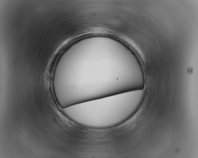X0000097951067200803241014
