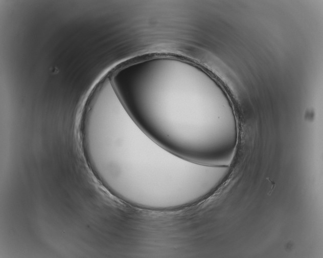 X0000097951068200803241014