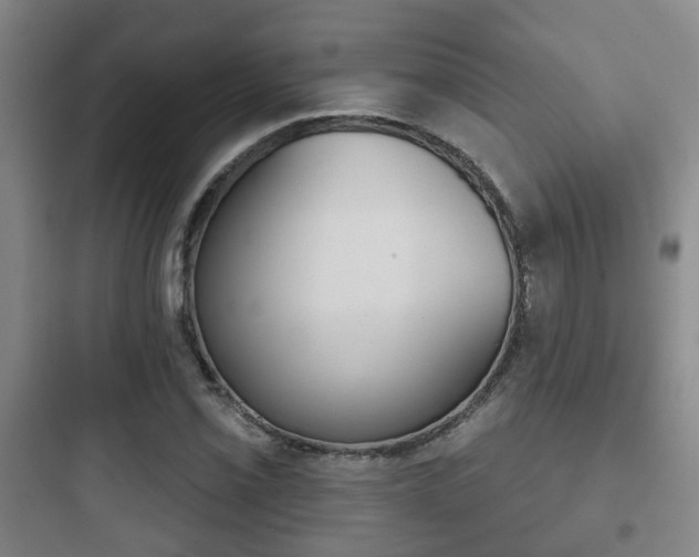 X0000097951069200803241013