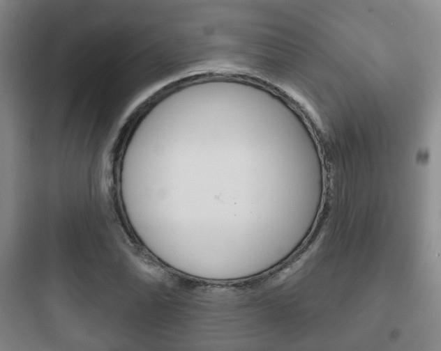X0000097951070200803241013
