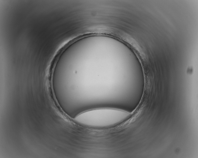 X0000097951071200803241013