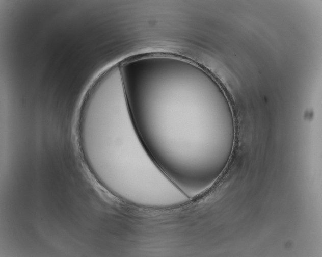 X0000097951072200803241013