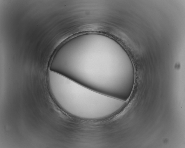 X0000097951073200803241013
