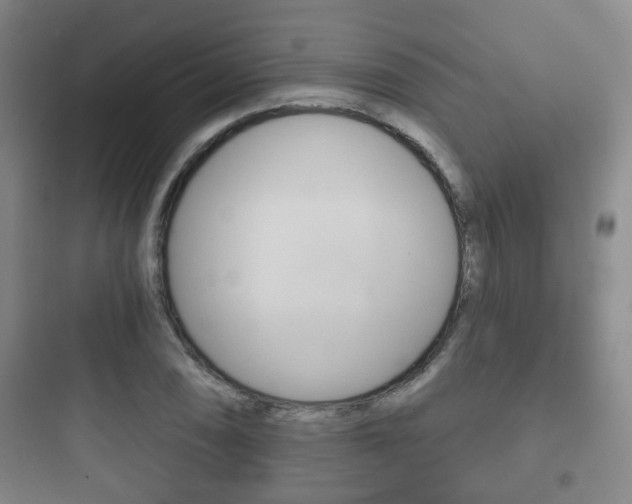 X0000097951074200803241013
