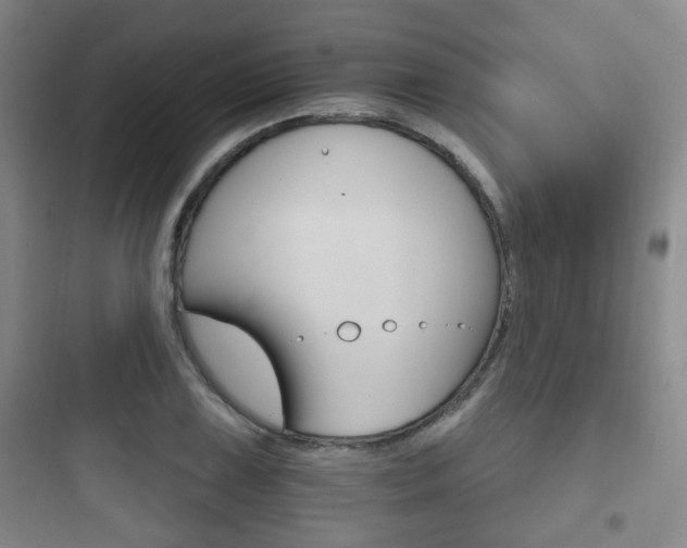 X0000097951075200803241013